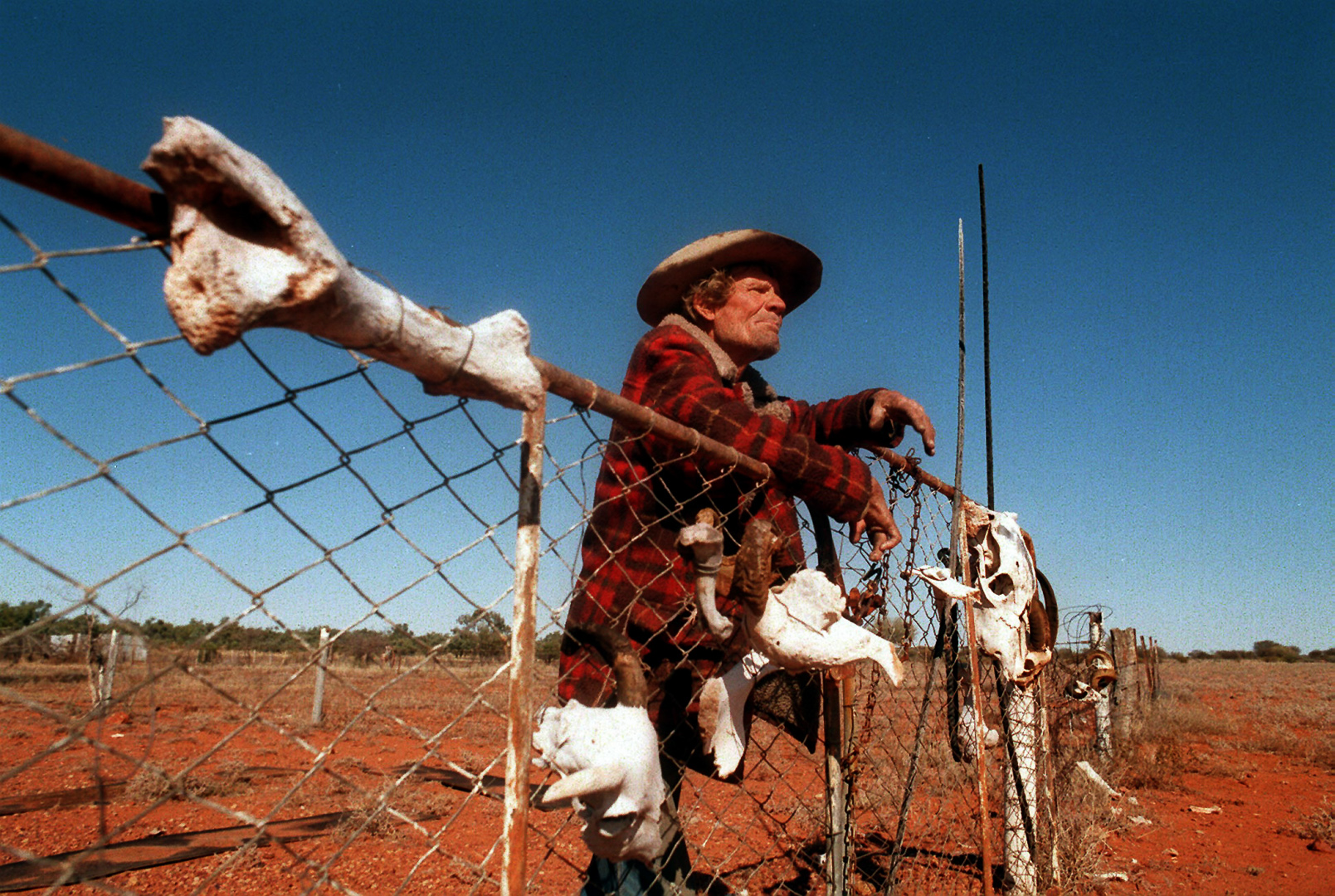 The late "The Wingcommander" keeping bones on the fence at Windorah western Qld, 1998.